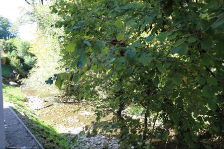 Appartement de 3 pièces - Photo 5