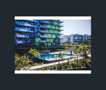 11106/17 Clarke Street, Southport, Qld 4215 - Photo 5