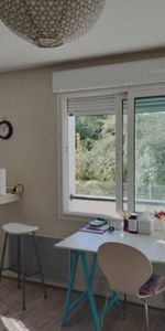Studio meublé 21 m² Jardin des Plantes, Clémenceau - Photo 4