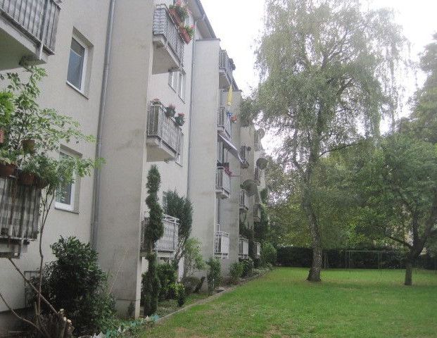 Wer will mich!? Sanierte/Renovierte 2-Zimmer-Wohnung in Stadtlage anmietbar 20.02.2026 - Photo 1