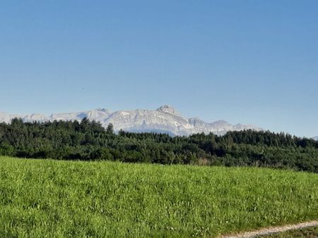 4.5 Zimmer, 114 m², 1. Stock - Foto 5