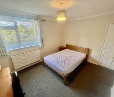 South Park Avenue, Norwich - Photo 6