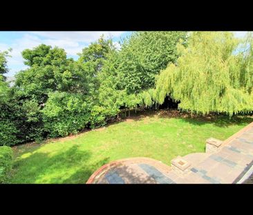 2 Bed Bungalow, Mountfield Road, LU2 - Photo 6