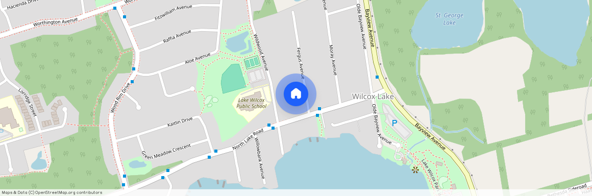 22 Fergus Ave, Richmond Hill, Richmond Hill, York, L4E 3B5