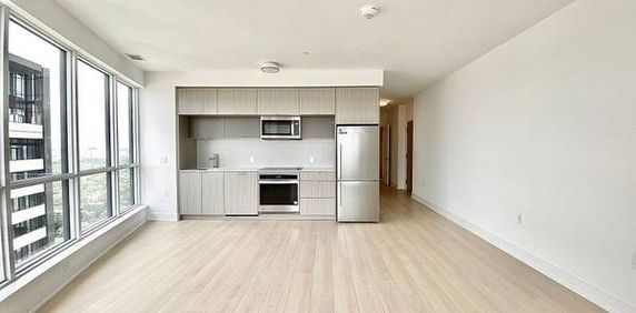 Parliament Street /Bloor St Sunfilled 2Bdrm Modern Kitchen Huge Balco - Photo 2