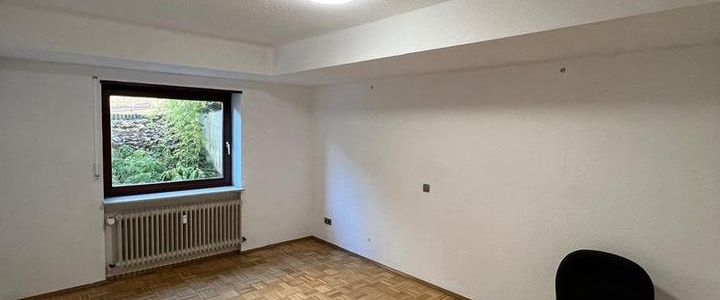 Attraktive Souterrain Wohnung in zentraler Lage - Nähe Rhein-Neckar-Zentrum - Foto 1