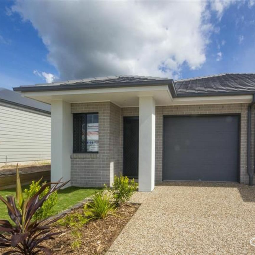 Cozy 3 Bedroom Duplex! - Photo 1