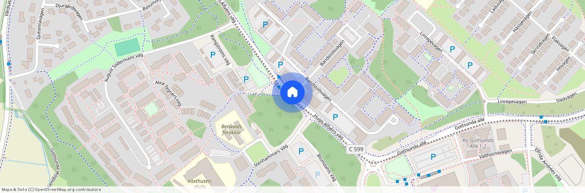 Hugo Alfvéns väg, Uppsala