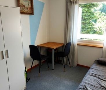 APPARTEMENT 3 PIÈCES À OETWIL AM SEE (ZH), MEUBLÉ, TEMPORAIRE - Photo 3