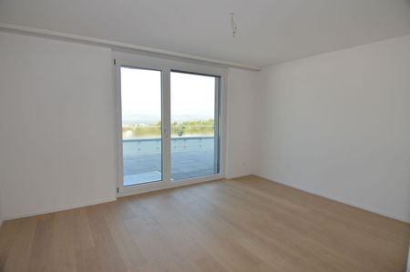 Traumhafte Attikawohnung in Frauenfeld - Photo 5