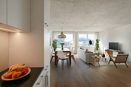 Moderne 2.5 ZWG avec immense terrasse partagée sur le toit - Photo 3