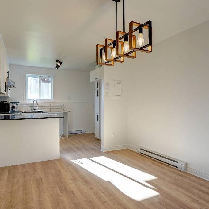 Grand 4 1/2 rénové à Mirabel - Libre maintenant - Internet inclus - Photo 1