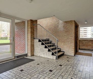 Bijdorp 11 - Foto 3