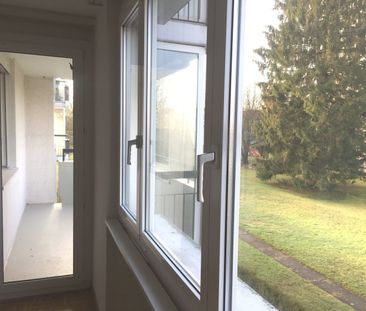 Life above the rooftops of Zuchwil - Photo 1