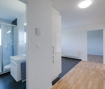2.5 Zimmer, 51 m², 3. Stock - Photo 4