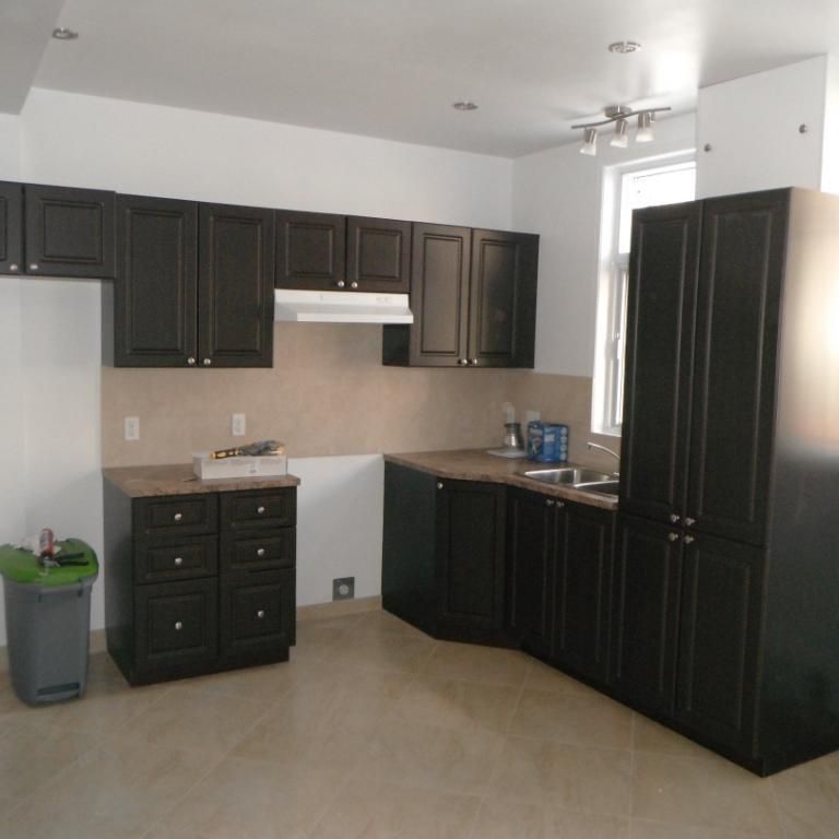 Beau logement près de l petite Italie - Photo 1