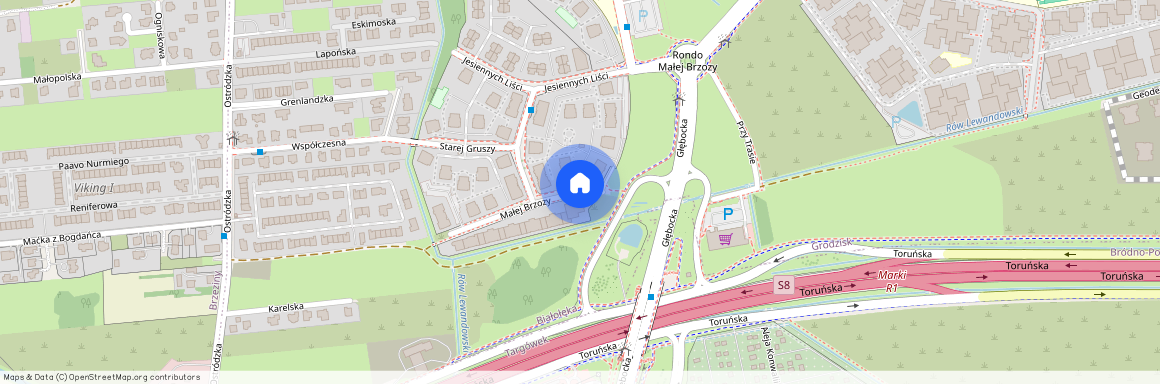 Warszawa, Malej, Brzozy