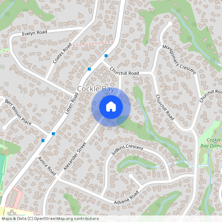 24A Alexander Street, Cockle Bay, Manukau City