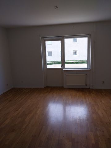 Petreplan 13A - Photo 4