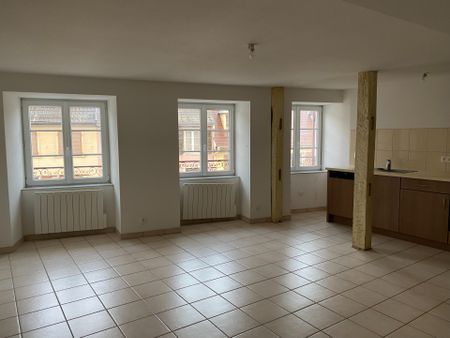 Location Appartement 2 pièces 57m² ALTKIRCH 68130 - Photo 3