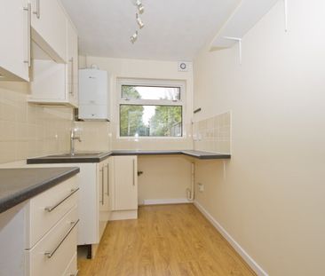 South Ash - Photo 1