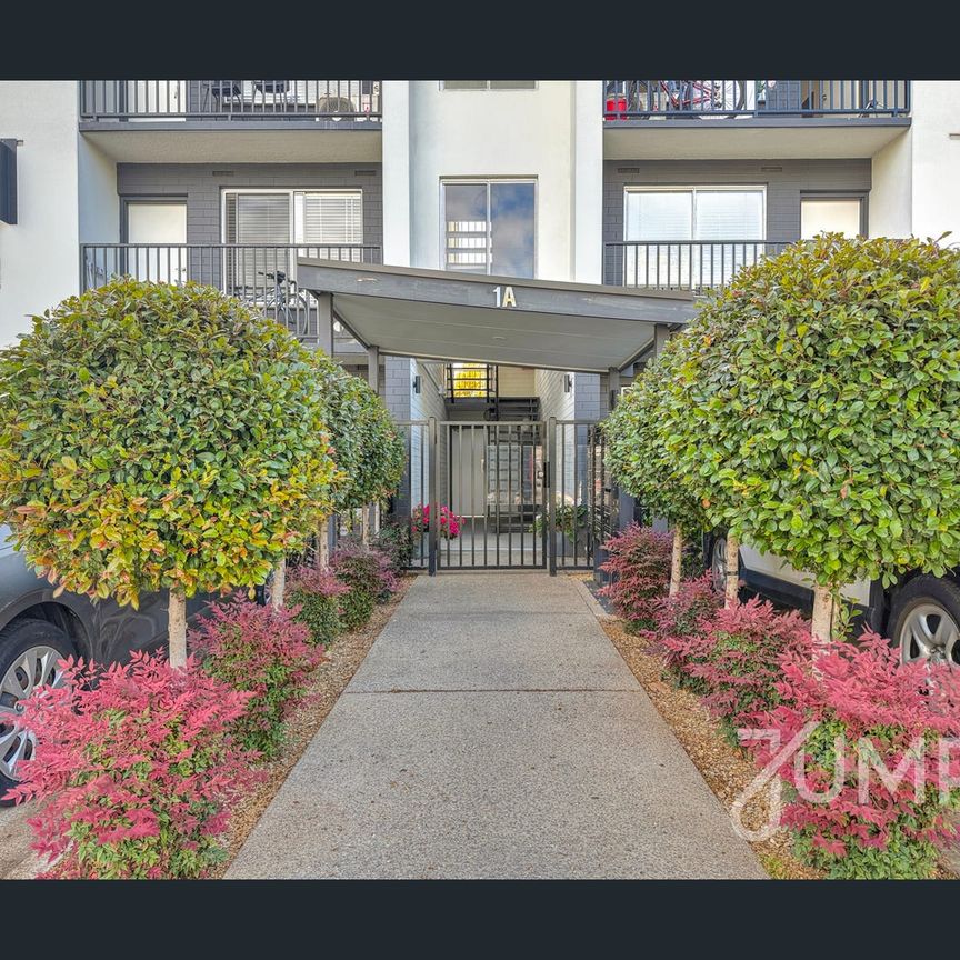 3/1A Stephens Avenue, Torrensville, SA 5031 - Photo 1