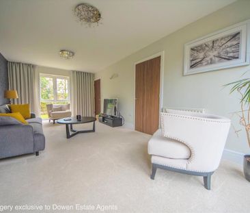 4 bedroom detached house to rent - Photo 2