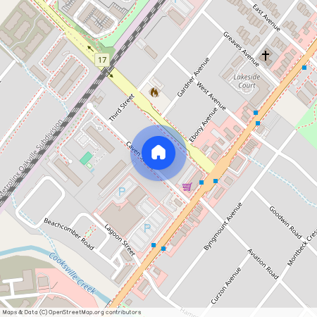 1039 Caven Street Unit# Bsmt, Mississauga