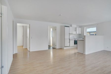 Velkommen til Dyres Kvarter - Foto 2