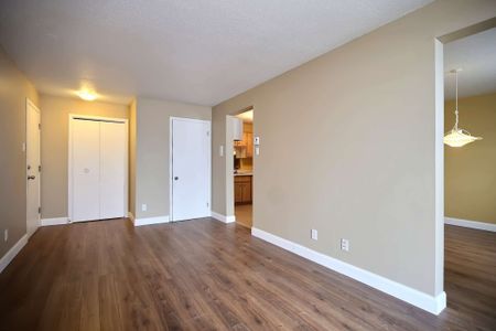 103 · Demi-sous-sol - Photo 2