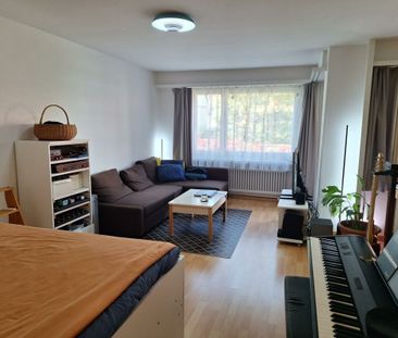 Helle grosszügige Wohnung in Zürich-Altstetten - Photo 2