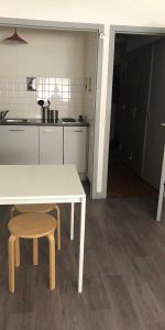 Location Appartement 1 pièce 35m² ST ETIENNE 42000 - Photo 3