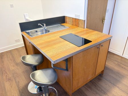 Studio Flat, Very Near Gunnersbury Gardens Area, W3 - Photo 3