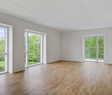 Pilehøj 1B, 1. 1., 3460 Birkerød - Photo 3