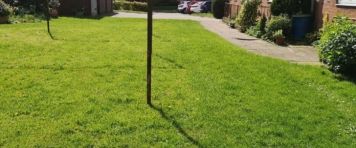 Bald Ihr neues Zuhause? - Foto 1
