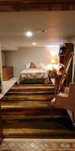 Spacious, Furnished 1-Bedroom Basement - near Leslie &York Mills - Cit - Photo 4