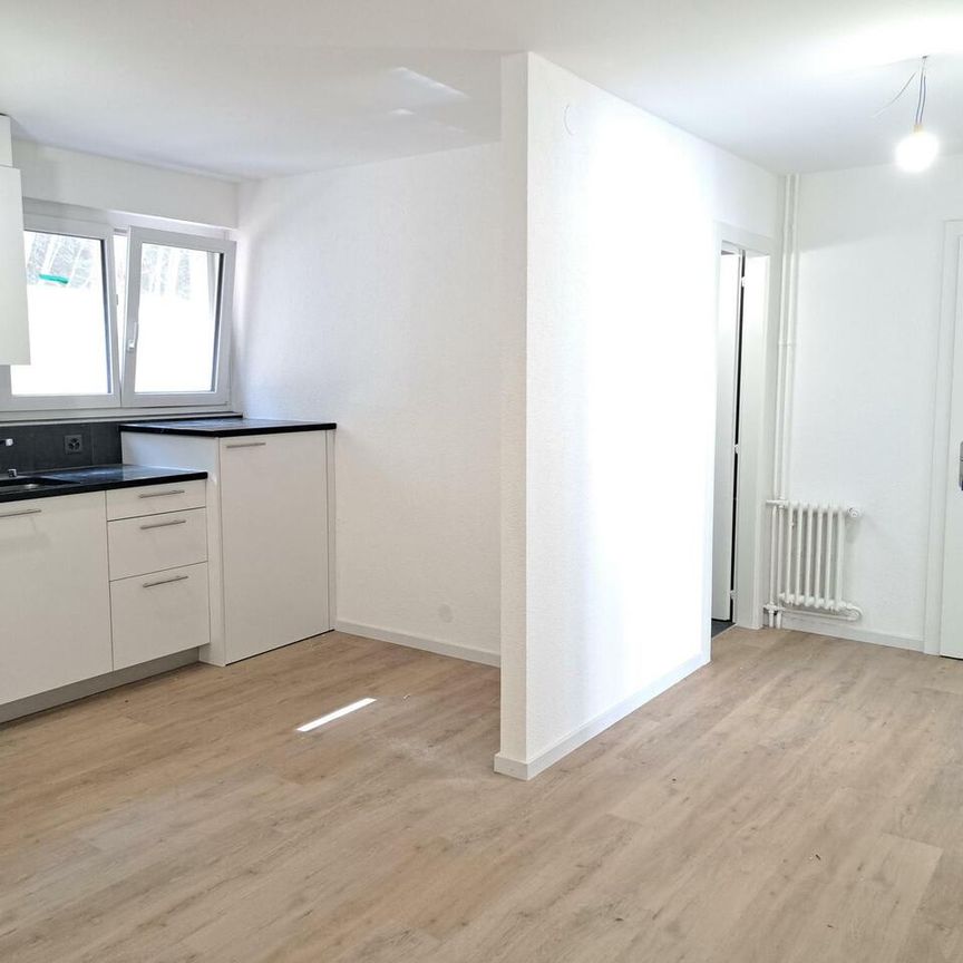 2.5 Zimmer, 54 m², 1. Stock - Foto 1