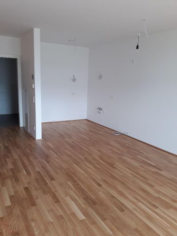 Exklusive 3-Zimmer-Wohnung in Wels - Photo 5