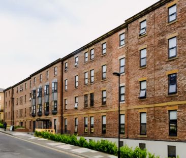 Studio - Silver - Photo 6