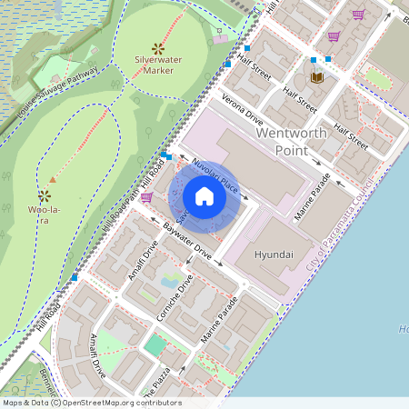 311/16 Savona Drive Wentworth Point NSW