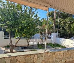 Μονοκατοικία για ενοικίαση - Μαρκόπουλο, - Photo 2