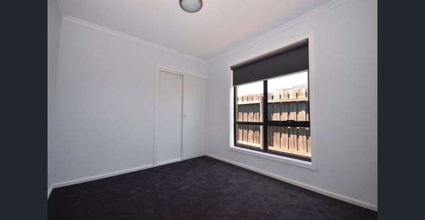 Spacious and light filled living - Photo 1