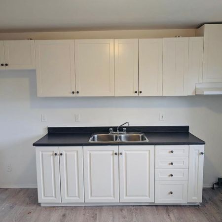 À LOUER – 4 1/2 rénové – Île-Perrot - Photo 4