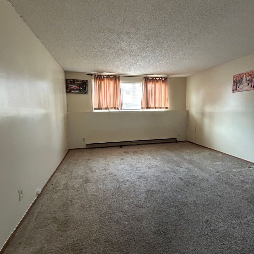 1 Bedroom Apartment in Caswell Hill - Photo 1