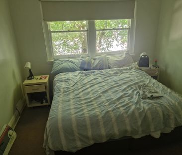 Paddington - Photo 4