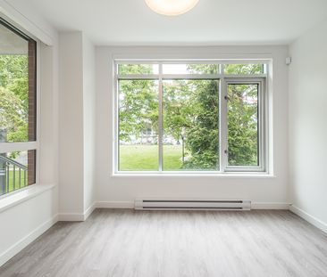 1008 Pandora Avenue, Victoria - Photo 5