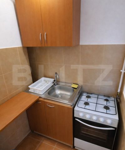Garsoniera de inchiriat, 25 mp, zona Facultatea de Litere - Fotografie 3