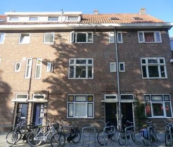 Te huur: Kamer Geldersedam in Den Bosch - Photo 2