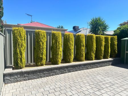 Modern Low Maintenance 3 Bedroom Home – Perfect for the Family! - Photo 2