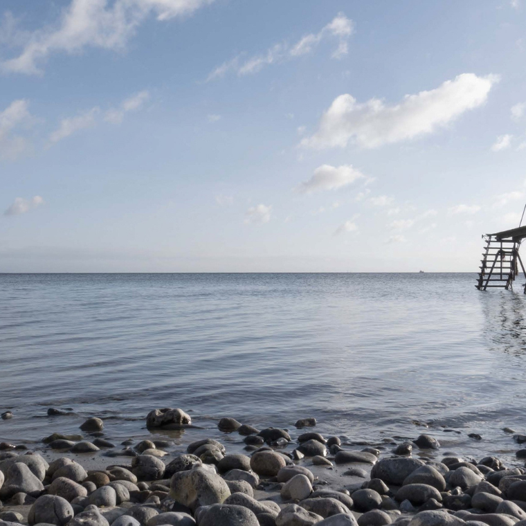 Stevnsvej 3 A, stuen 2 - Foto 1